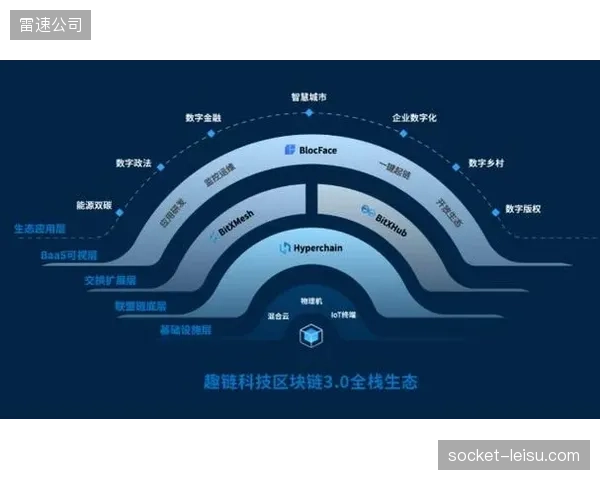 截至2026年5月，国内已有超过五大顶级职业联赛全面采用基于区块链的数字资产管理系统